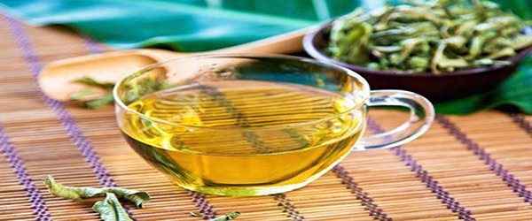 تصویر 4 از قیمت گیاه دارویی به لیمو با کیفیت ارزان + خرید عمده